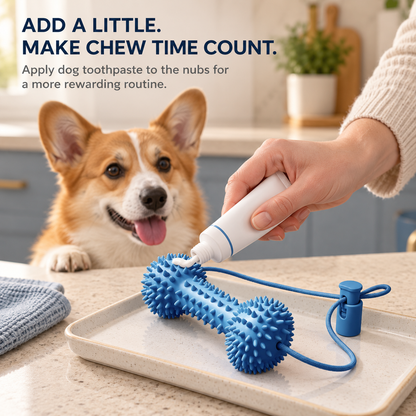 🎁🎁Dog Toothbrushing Helper, Pet Dental Care Aid for Easier Teeth Cleaning, Less Struggling, More Effective Brushing