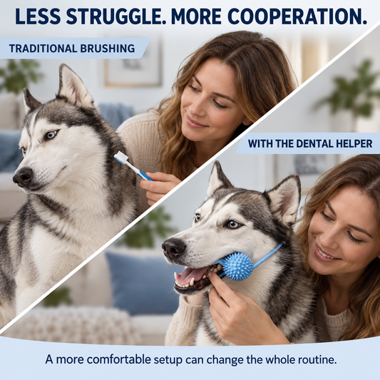 🎁🎁Dog Toothbrushing Helper, Pet Dental Care Aid for Easier Teeth Cleaning, Less Struggling, More Effective Brushing